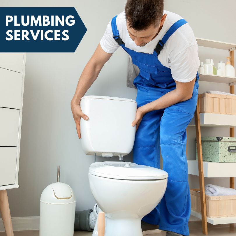 Plumbing Company in Tavares, FL